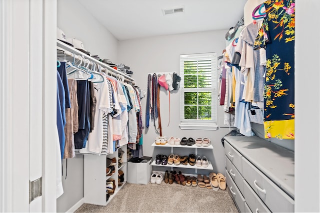 spacious closet featuring carpet and visible vents