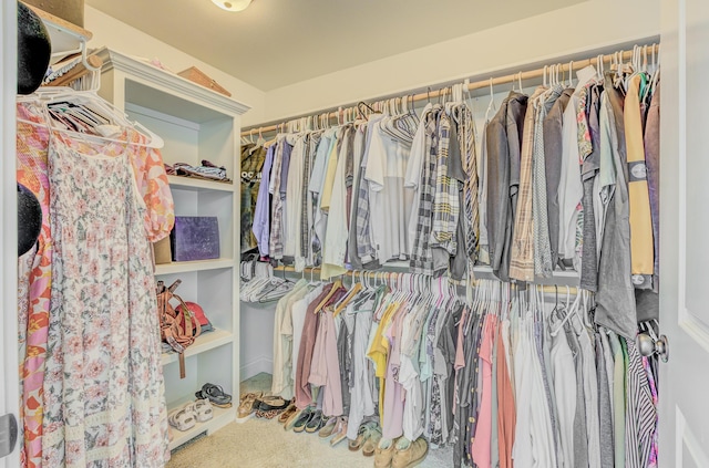 4716 Emeribrook Ct, Columbia, MO 65203 - walk in closet with carpet floors