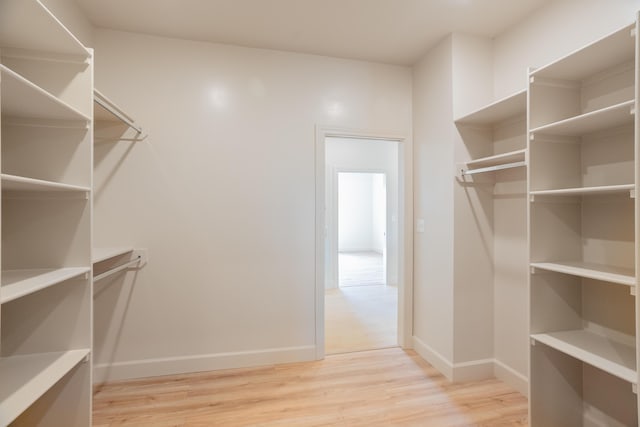 walk in closet featuring light wood finished floors