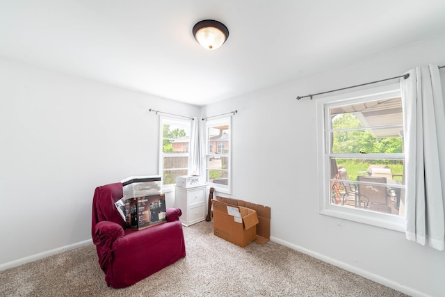 509 S Bus-54, Fulton, MO 65251 - sitting room with carpet floors, baseboards, and a healthy amount of sunlight