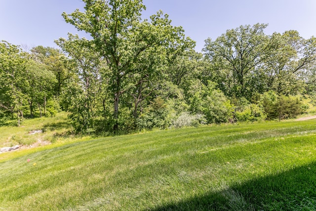 700 Brockton Dr, Columbia, MO 65201 - view of yard