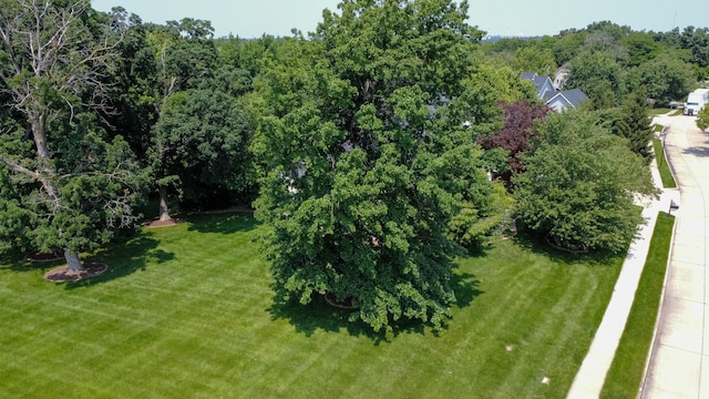 2420 Lacewood Dr, Columbia, MO 65201 - photo 80