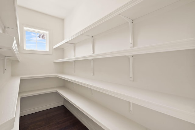 3207 Rivington Dr, Columbia, MO 65203 - view of pantry