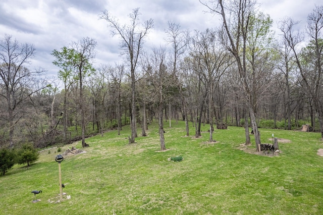 view of yard with a view of trees