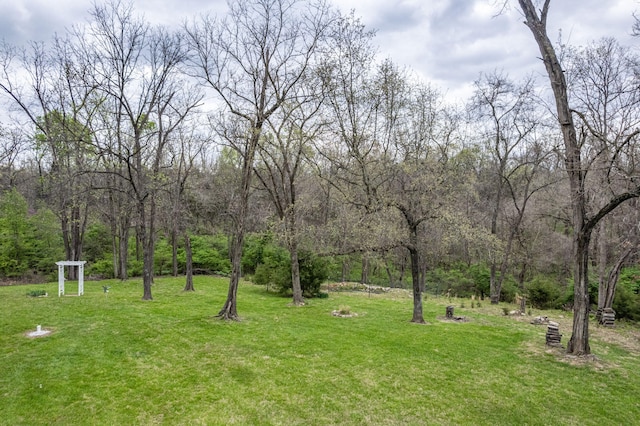 view of yard