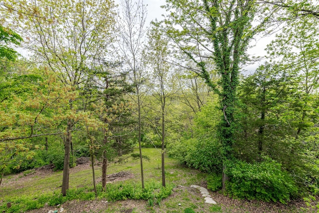 view of yard with a view of trees