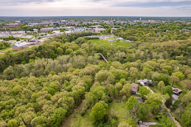aerial view of a forest