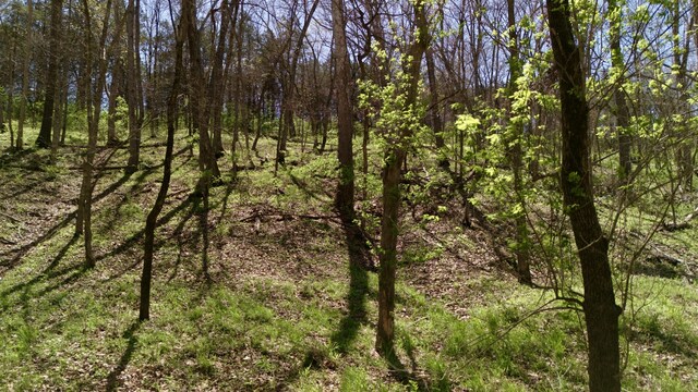 1307 Tara Rd, Jefferson City, MO 65101 - photo 24