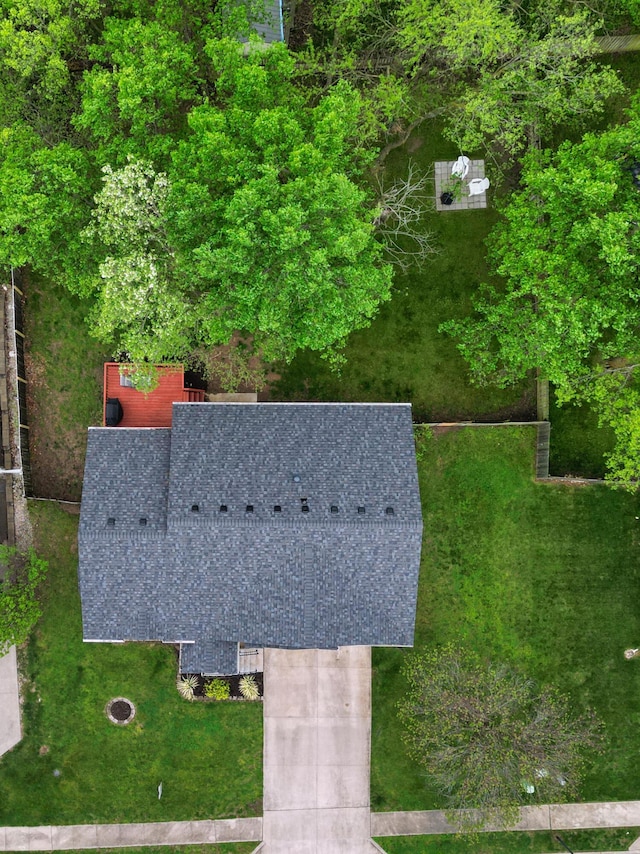 bird's eye view
