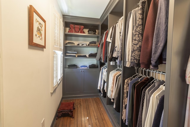 spacious closet featuring wood-type flooring