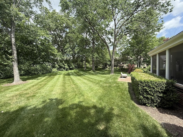 view of green lawn