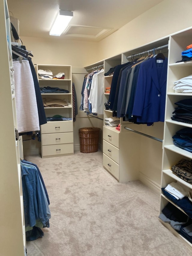 spacious closet featuring attic access and carpet flooring