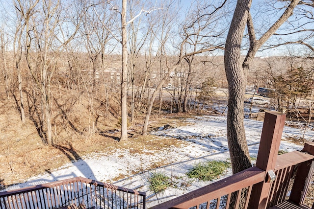 view of yard covered in snow