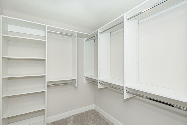 709 Sagemoor Dr, Columbia, MO 65201 - spacious closet with carpet flooring