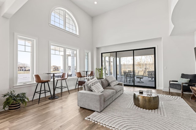709 Sagemoor Dr, Columbia, MO 65201 - living room featuring a high ceiling, a healthy amount of sunlight, wood finished floors, and recessed lighting