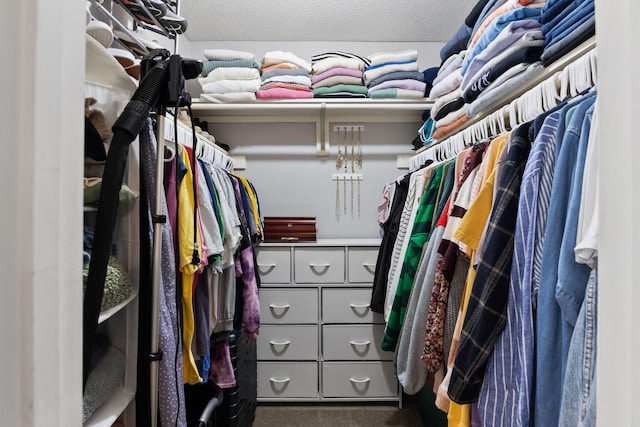 spacious closet featuring carpet