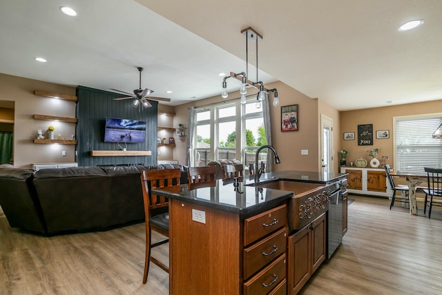 kitchen featuring a breakfast bar, a healthy amount of sunlight, dishwashing machine, and light wood-style flooring
