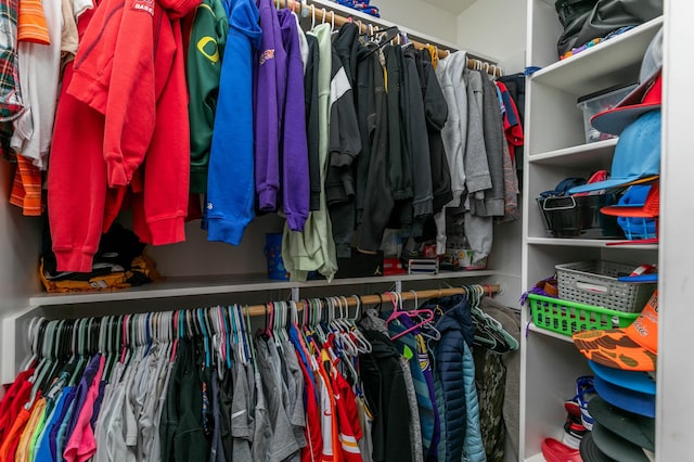view of spacious closet