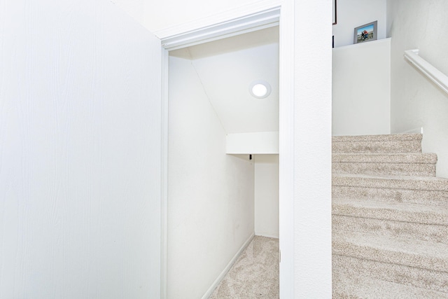 staircase featuring baseboards and carpet flooring