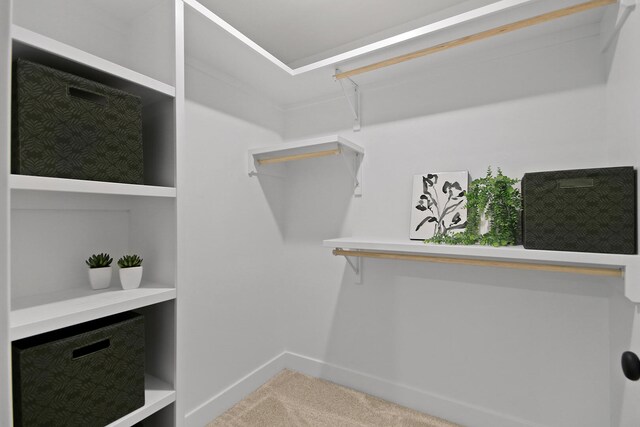 6176 Partridge Ct, Columbia, MO 65202 - spacious closet featuring carpet flooring