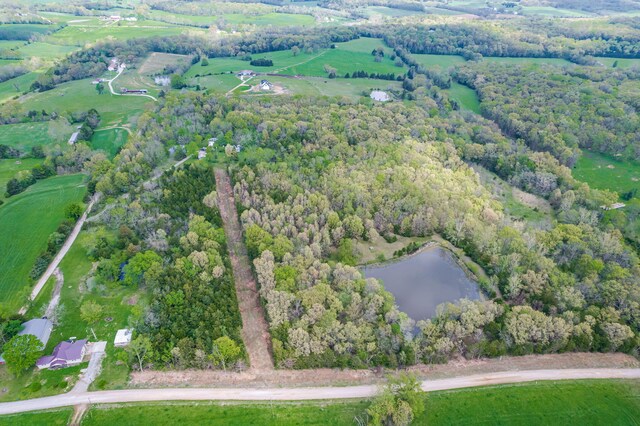 29638 Borghardt Dr, California, MO 65018 - photo 3