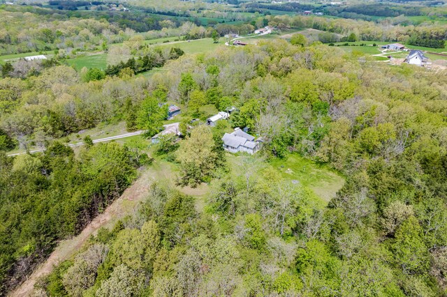 29638 Borghardt Dr, California, MO 65018 - photo 8