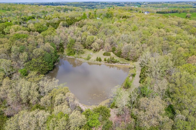 29638 Borghardt Dr, California, MO 65018 - photo 4