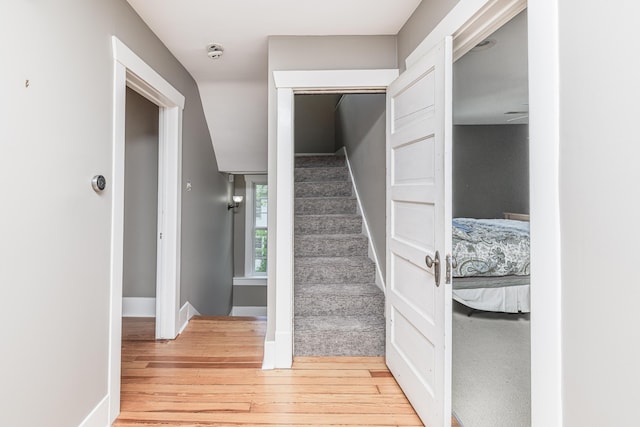 403 Westmount Ave, Columbia, MO 65203 - staircase featuring wood finished floors and baseboards