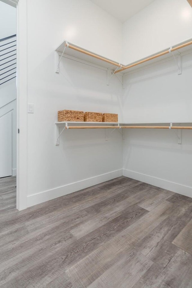 spacious closet featuring wood finished floors