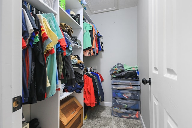7751 W Old Barclay Creek Ln, Columbia, MO 65202 - spacious closet featuring carpet flooring and attic access