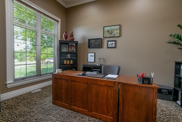 6507 Crooked Switch Ct, Columbia, MO 65201 - carpeted office space featuring healthy amount of natural light, crown molding, and baseboards