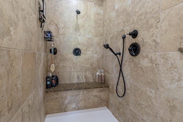 6507 Crooked Switch Ct, Columbia, MO 65201 - full bathroom with a tile shower