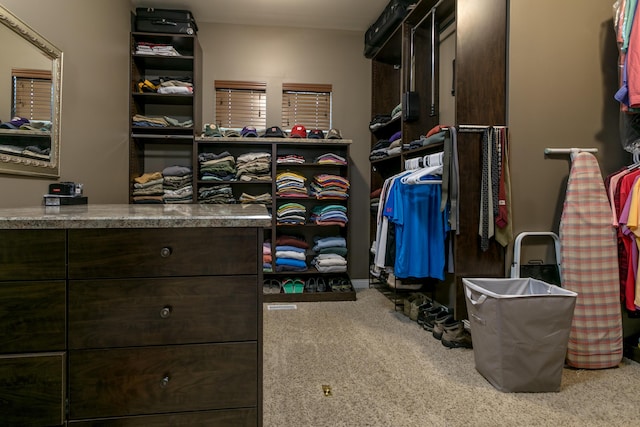 6507 Crooked Switch Ct, Columbia, MO 65201 - spacious closet with carpet
