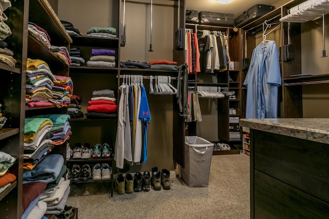 6507 Crooked Switch Ct, Columbia, MO 65201 - walk in closet with carpet floors