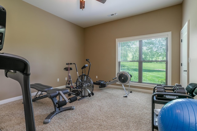 6507 Crooked Switch Ct, Columbia, MO 65201 - exercise room with carpet flooring, baseboards, and a ceiling fan
