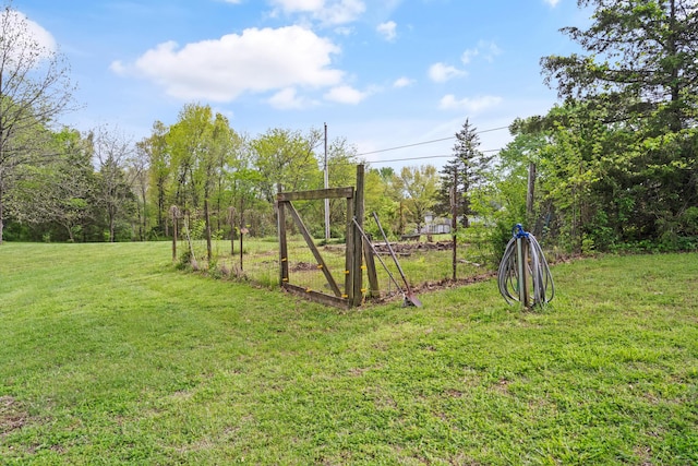 view of yard