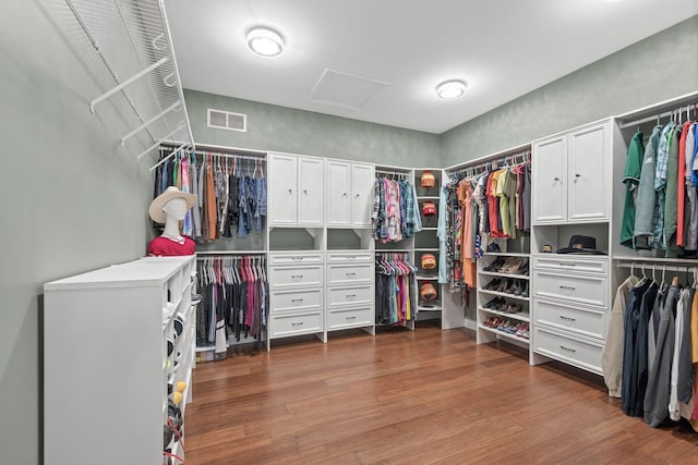 walk in closet featuring visible vents, wood finished floors, and attic access