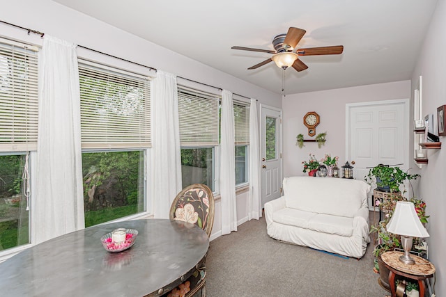 3005 Meghann Dr, Columbia, MO 65203 - interior space with carpet floors, ceiling fan, and a wealth of natural light