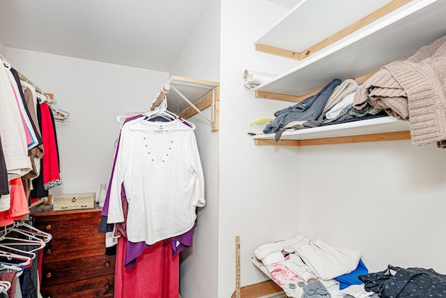 3005 Meghann Dr, Columbia, MO 65203 - view of walk in closet