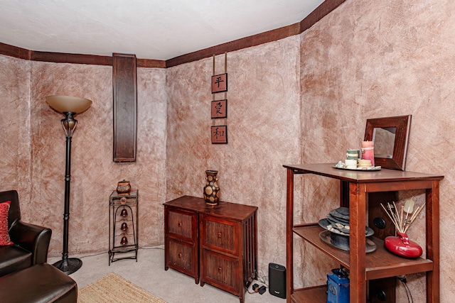 3005 Meghann Dr, Columbia, MO 65203 - view of sitting room