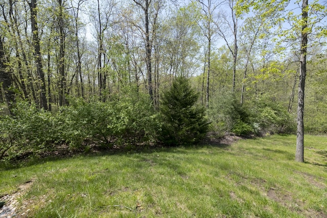 4405 Ferndale Dr, Columbia, MO 65202 - view of yard