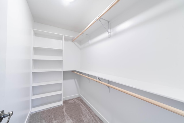 walk in closet featuring carpet