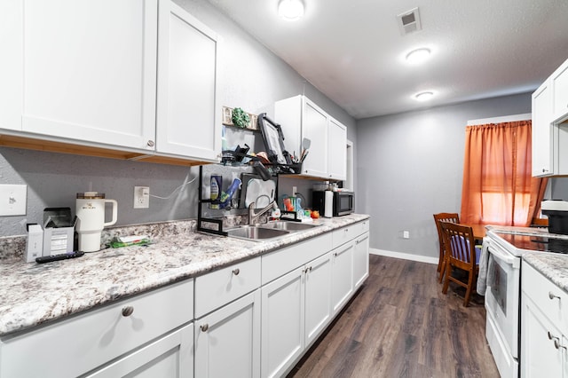 502 Hackberry, Fayette, MO 65248 - kitchen featuring a sink, dark wood finished floors, stainless steel microwave, visible vents, and white electric stove