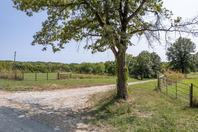 20ACRES W Gray Rd, Harrisburg, MO 65256 - photo 3