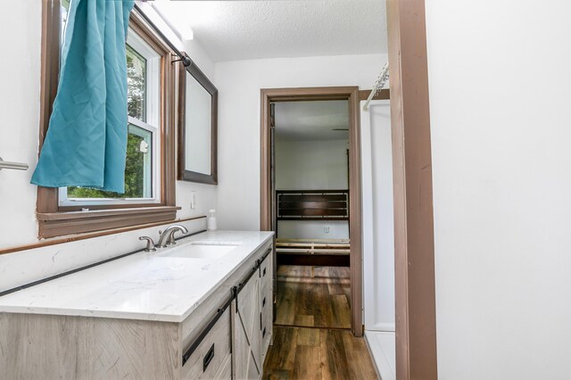 5435 N Creasy Springs Rd, Columbia, MO 65202 - bathroom featuring vanity, wood finished floors, and a healthy amount of sunlight