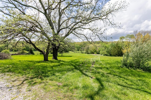 5435 N Creasy Springs Rd, Columbia, MO 65202 - view of yard featuring a forest view