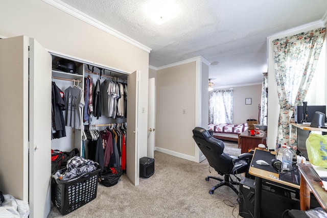 207 Lucky St, Fayette, MO 65248 - office featuring carpet flooring, crown molding, a textured ceiling, and baseboards