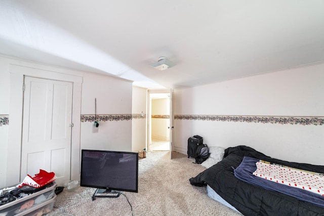 207 Lucky St, Fayette, MO 65248 - bedroom featuring carpet floors