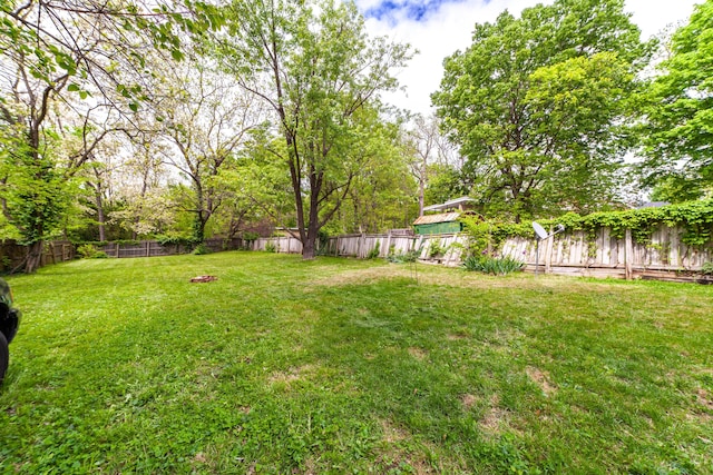 207 Lucky St, Fayette, MO 65248 - view of yard with a fenced backyard