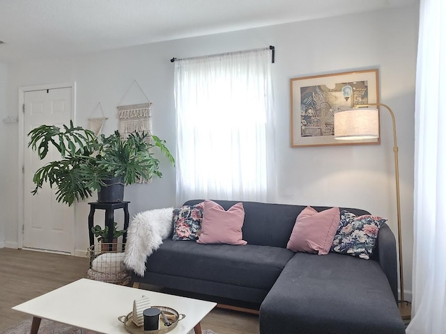 living room with baseboards and wood finished floors